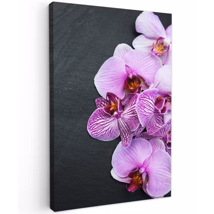 Orchidee - Bloemen - Roze - Flora Tuinposter op houten frame 2 cm dik klein -3d