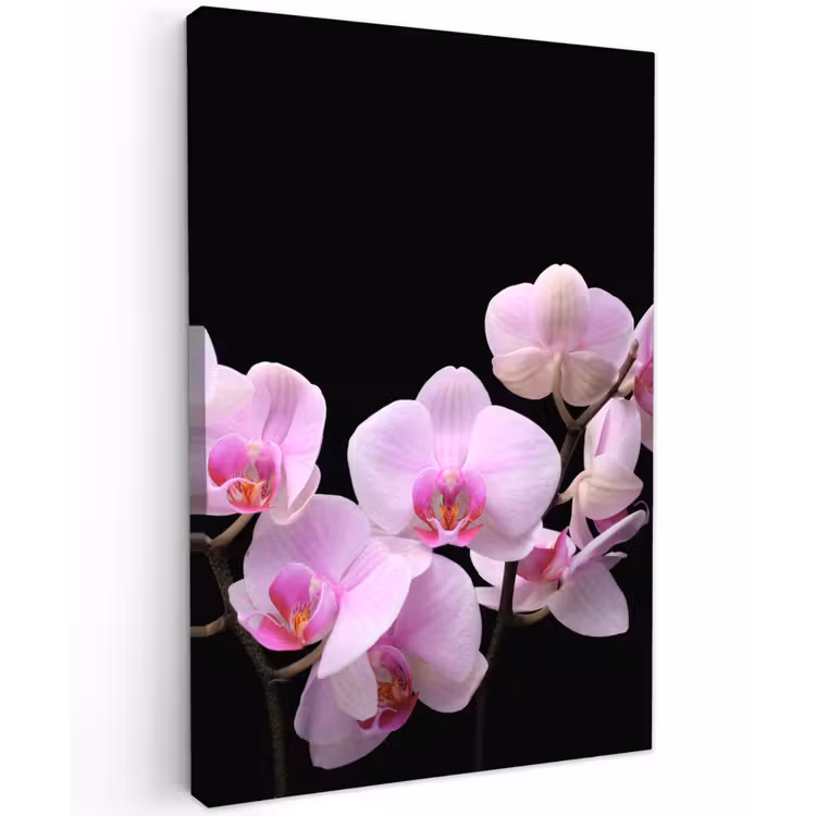 Orchidee - Bloemen - Roze - Flora Tuinposter op houten frame 2 cm dik klein -3d