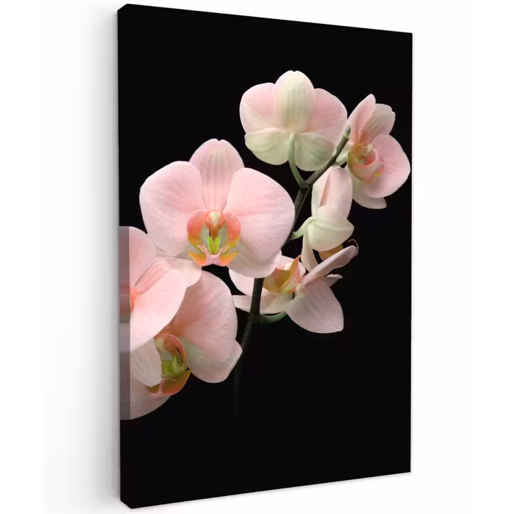 Orchidee - Bloemen - Roze - Stilleven - Flora Tuinposter op houten frame 2 cm dik klein -3d