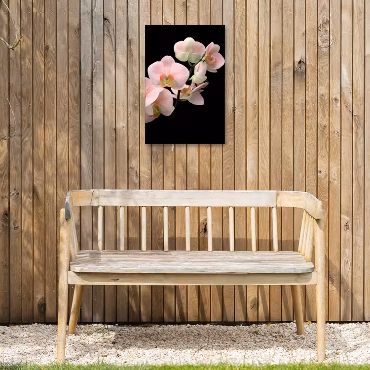 Orchidee - Bloemen - Roze - Stilleven - Flora Tuinposter op houten frame 2 cm dik klein -sfeer4
