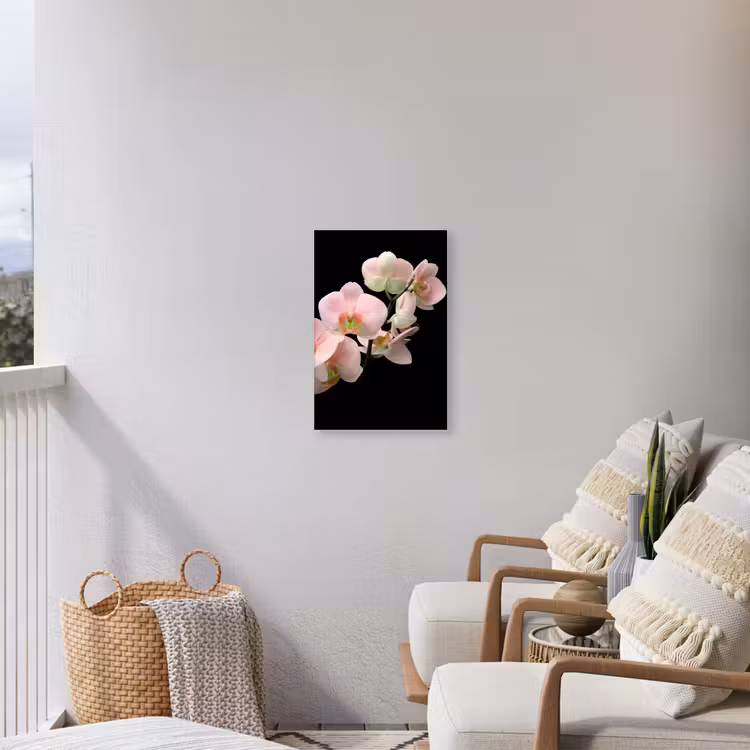 Orchidee - Bloemen - Roze - Stilleven - Flora Tuinposter op houten frame 2 cm dik klein -sfeer1