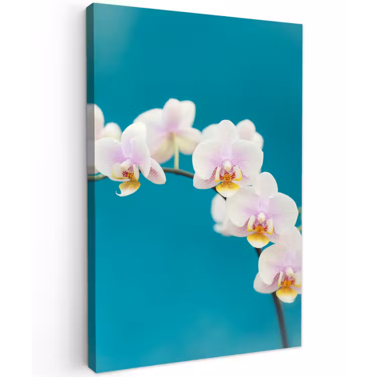 Orchidee - Bloemen - Plant - Wit - Paars Tuinposter op houten frame 2 cm dik klein -3d