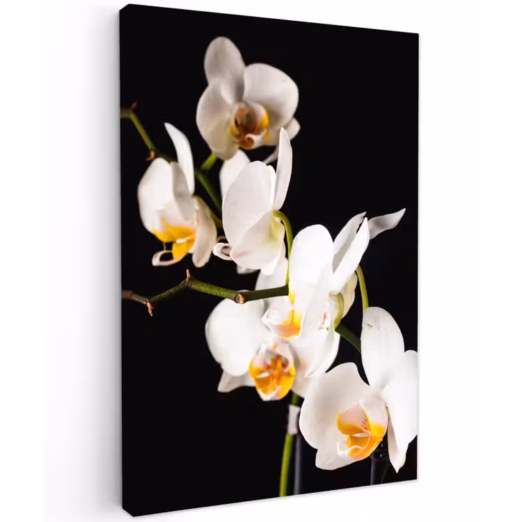 Orchidee - Bloemen - Planten - Botanisch Tuinposter op houten frame 2 cm dik klein -3d