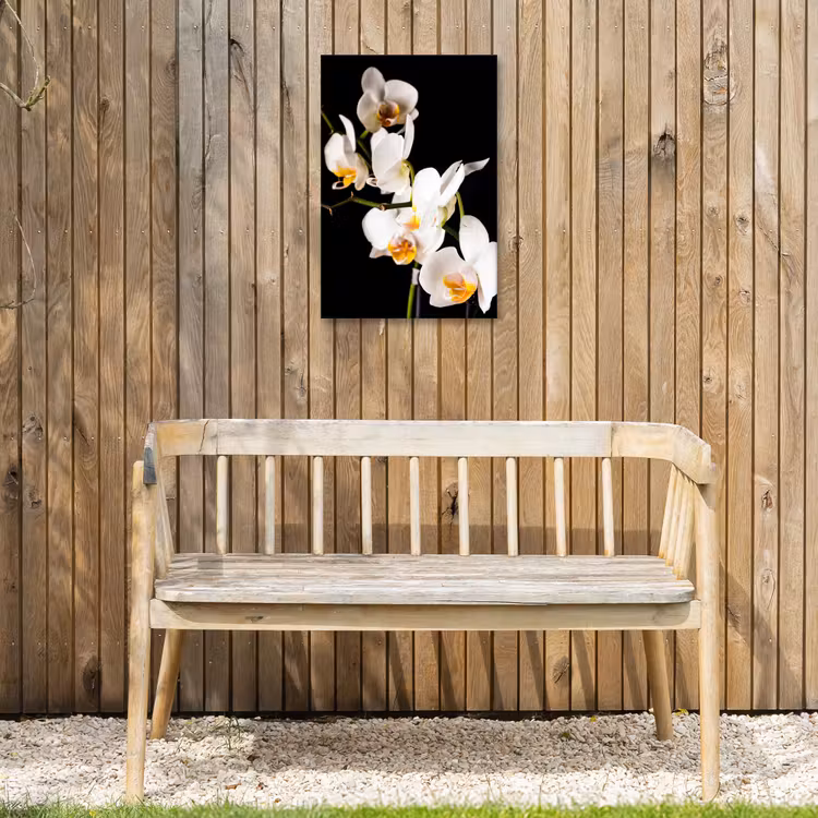 Orchidee - Bloemen - Planten - Botanisch Tuinposter op houten frame 2 cm dik klein -sfeer4