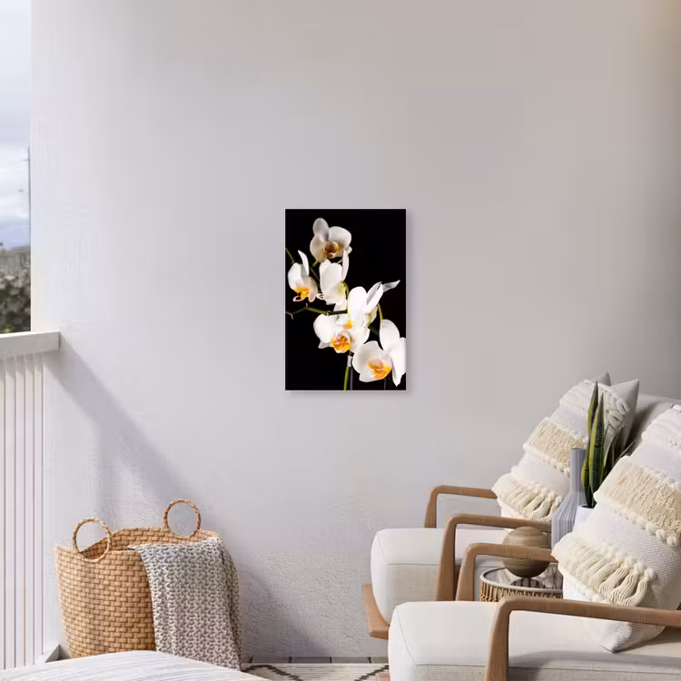 Orchidee - Bloemen - Planten - Botanisch Tuinposter op houten frame 2 cm dik klein -sfeer1