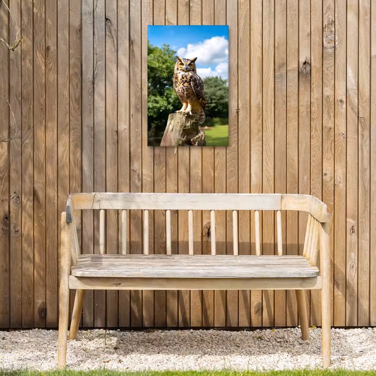 Uil - Boomstronk - Bos - Lucht Tuinposter op houten frame 2 cm dik klein -sfeer4