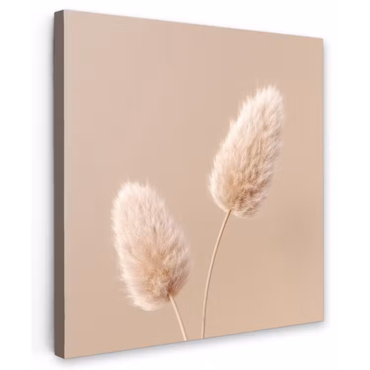 Pampas pluimen - Beige - Planten Tuinposter op houten frame 2 cm dik klein -3d