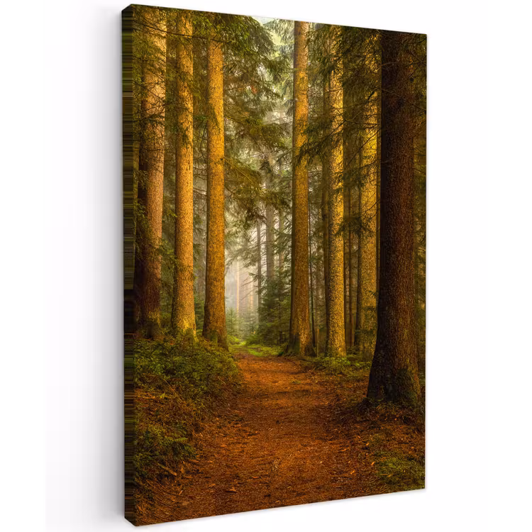 Pad door majestueus dennenbos Tuinposter op houten frame 2 cm dik klein -3d