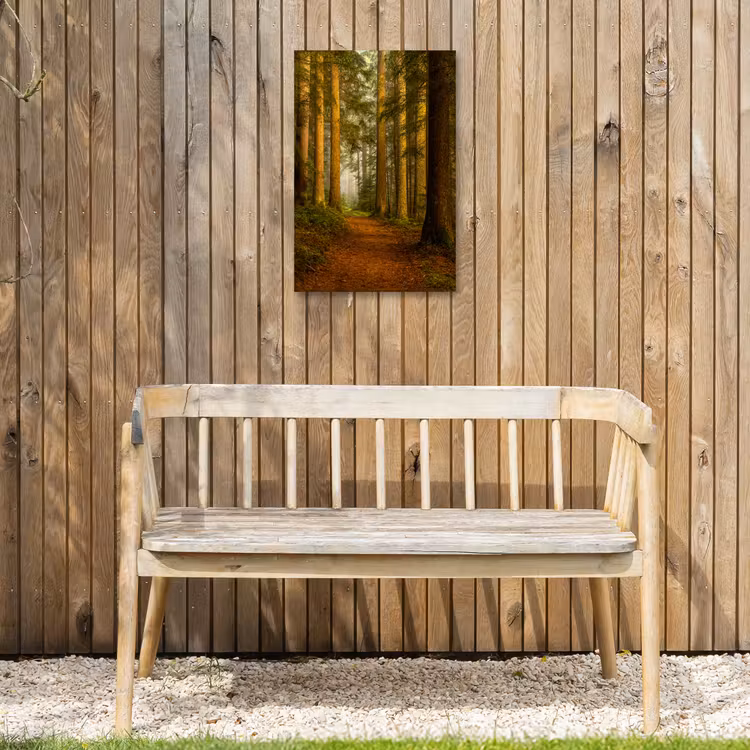 Pad door majestueus dennenbos Tuinposter op houten frame 2 cm dik klein -sfeer4