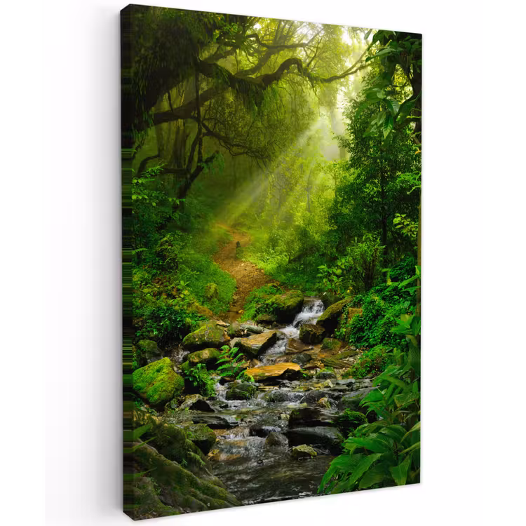 Pad door het Regenwoud Tuinposter op houten frame 2 cm dik klein -3d