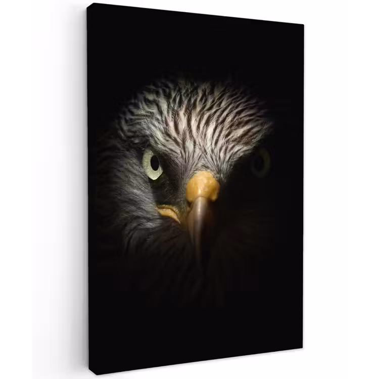 Indringende blik van een arend Tuinposter op houten frame 2 cm dik klein -3d
