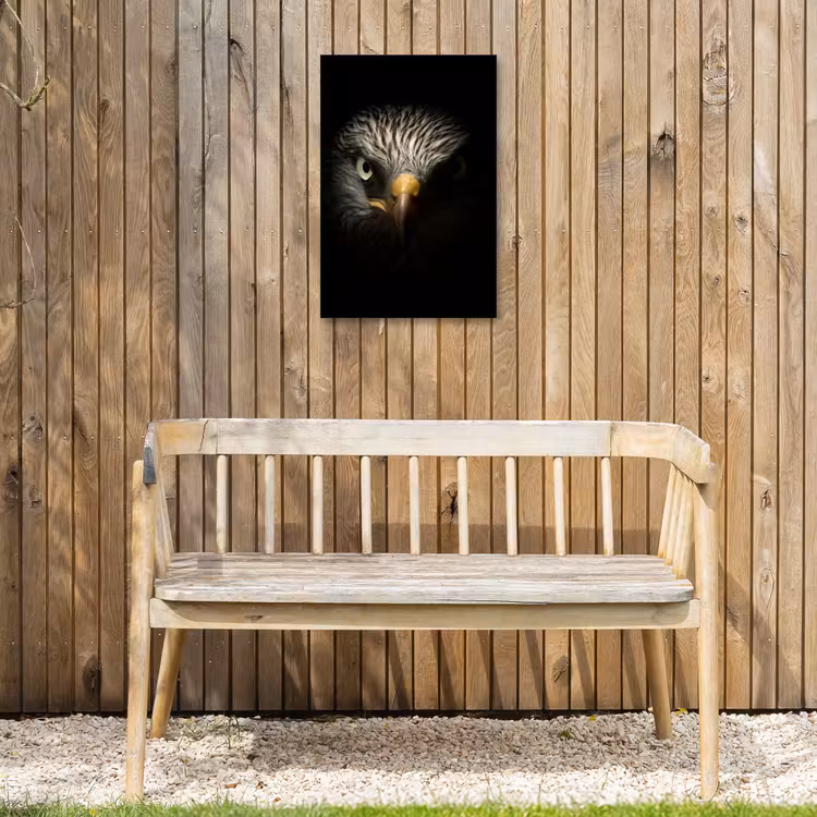 Indringende blik van een arend Tuinposter op houten frame 2 cm dik klein -sfeer4