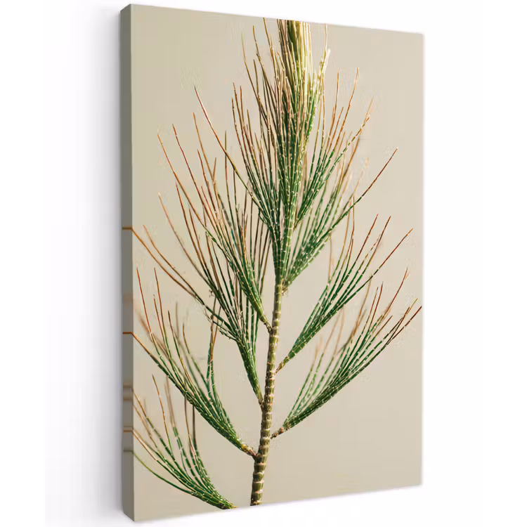 Dennentak - Naaldvormige bladeren - Lichtgroen Tuinposter op houten frame 2 cm dik klein -3d