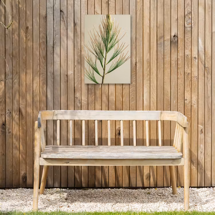 Dennentak - Naaldvormige bladeren - Lichtgroen Tuinposter op houten frame 2 cm dik klein -sfeer4