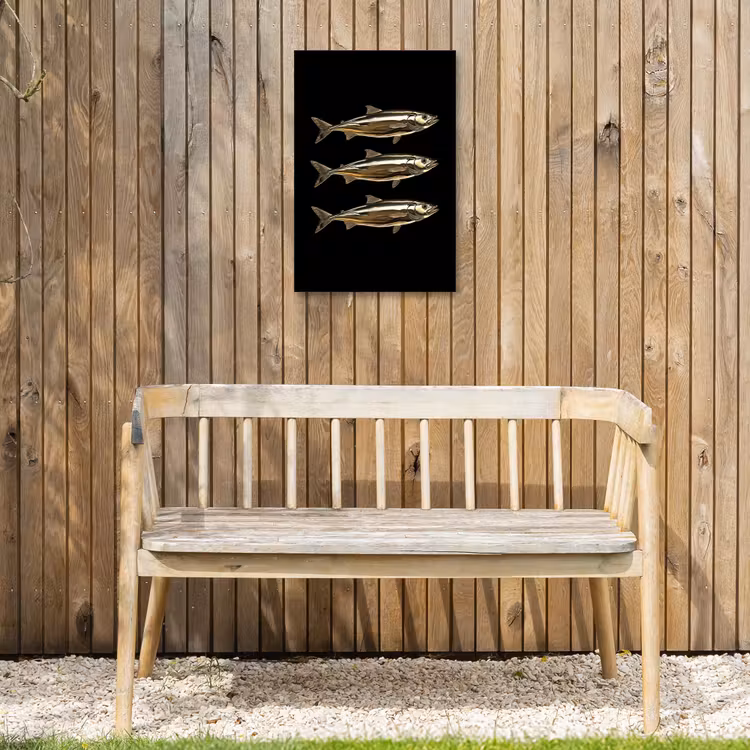 Vissen - Goud - Zwart Tuinposter op houten frame 2 cm dik klein -sfeer4