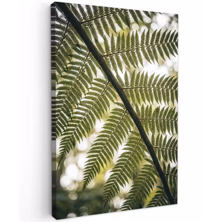 Plant - Blad - Natuur - Groen - Detail Tuinposter op houten frame 2 cm dik klein -3d