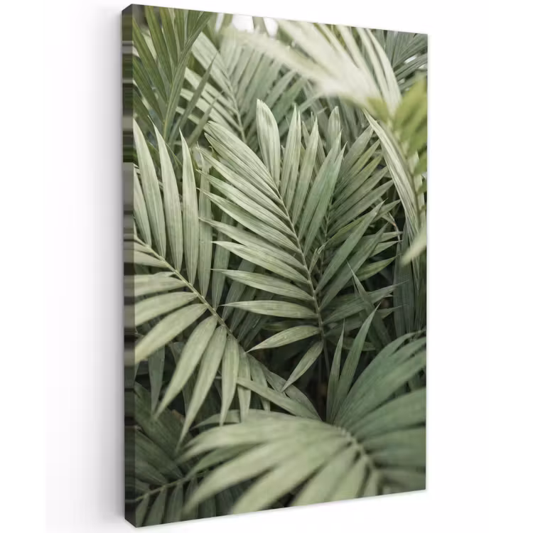 Plant - Palmbladeren - Natuur - Groen Tuinposter op houten frame 2 cm dik klein -3d
