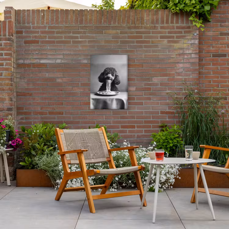 Poedel - Hond - Zwart - Wit - Schattig - Pasta Tuinposter op houten frame 2 cm dik klein -sfeer3