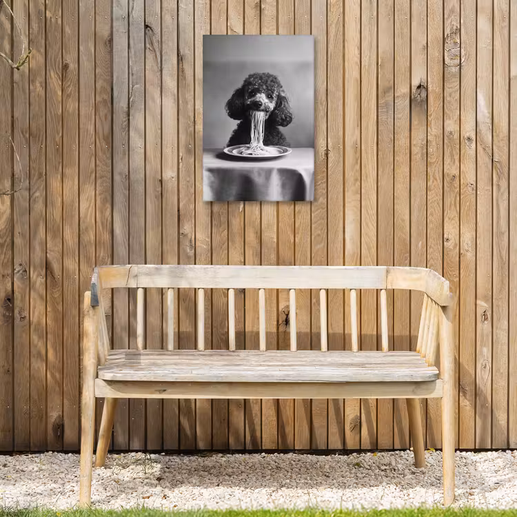 Poedel - Hond - Zwart - Wit - Schattig - Pasta Tuinposter op houten frame 2 cm dik klein -sfeer4
