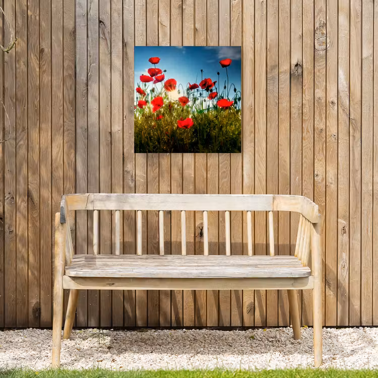 Klaprozen in tegenlicht Tuinposter op houten frame 2 cm dik klein -sfeer4