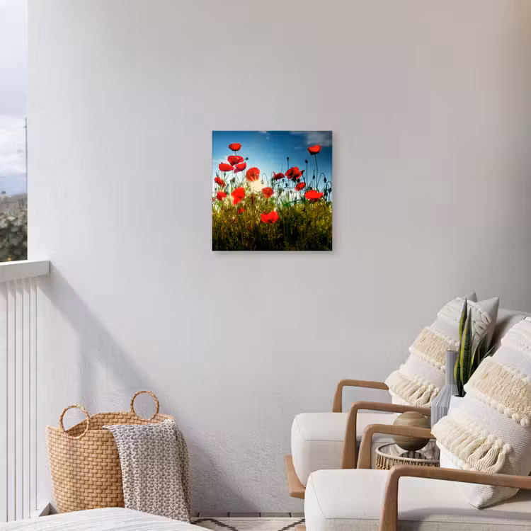 Klaprozen in tegenlicht Tuinposter op houten frame 2 cm dik klein -sfeer1
