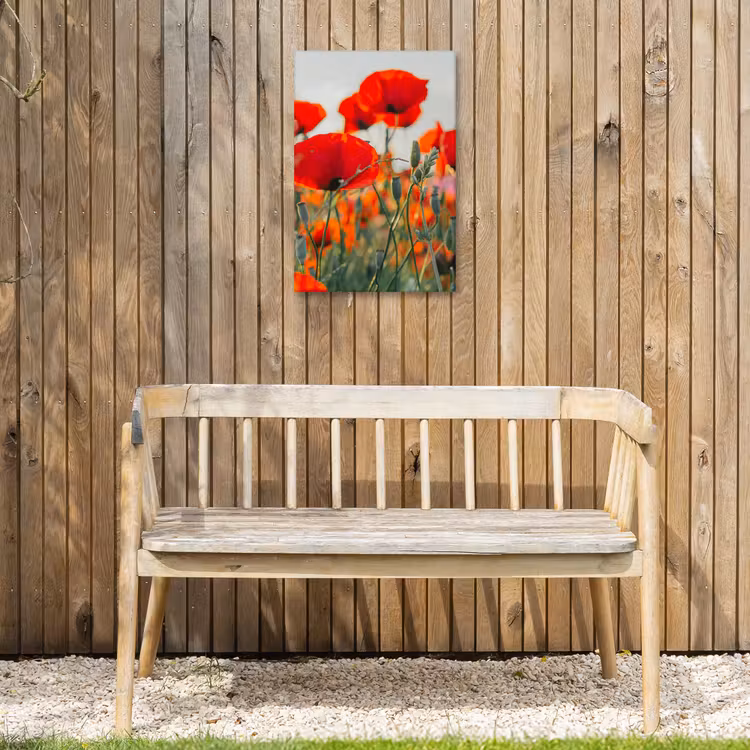 Klaprozen in close-up bij zonsondergang Tuinposter op houten frame 2 cm dik klein -sfeer4