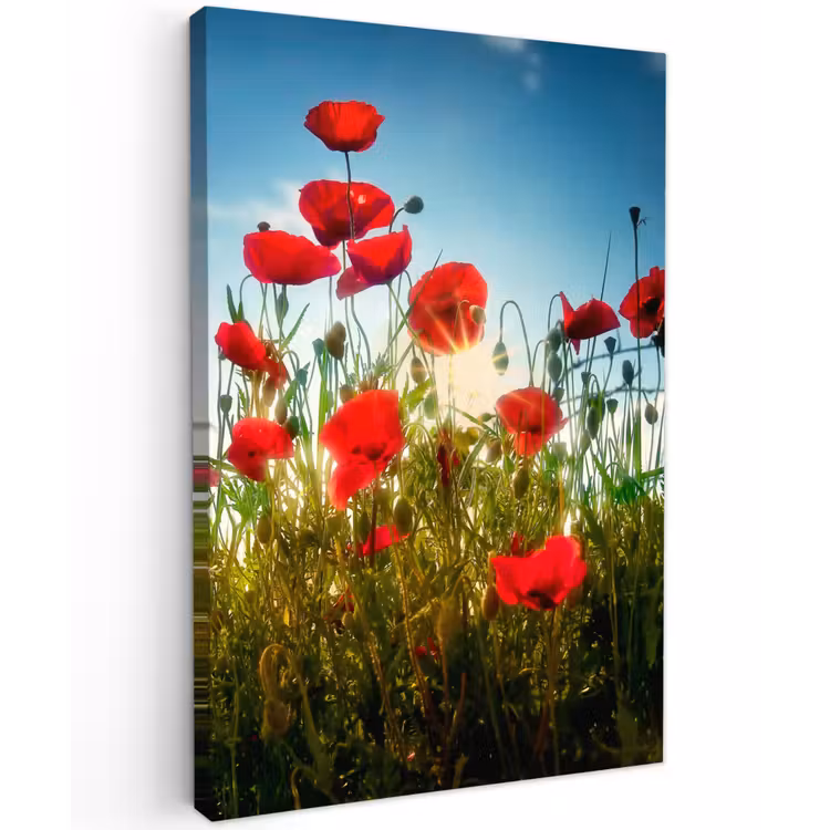 Klaprozen - Toscane - Zon - Rood - Blauw Tuinposter op houten frame 2 cm dik klein -3d