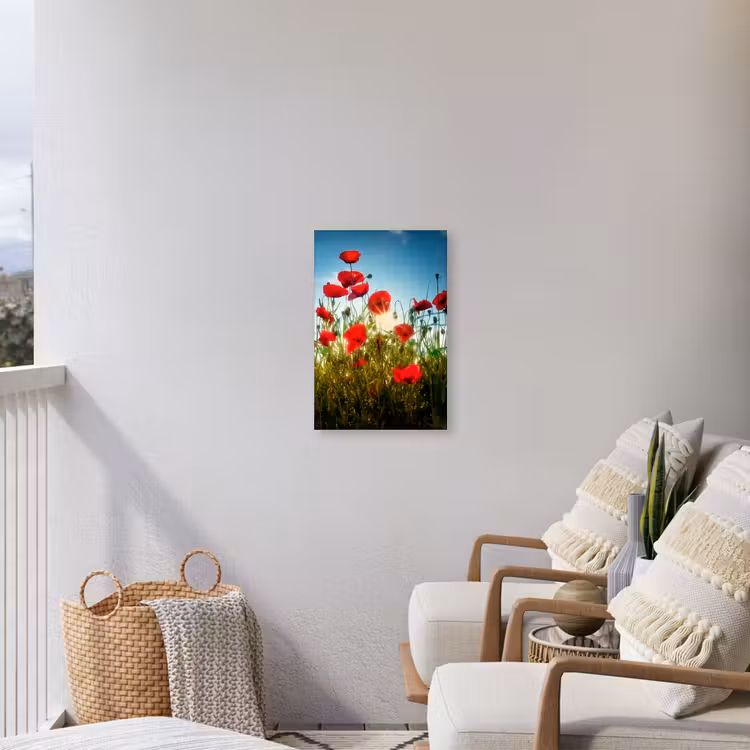 Klaprozen - Toscane - Zon - Rood - Blauw Tuinposter op houten frame 2 cm dik klein -sfeer1