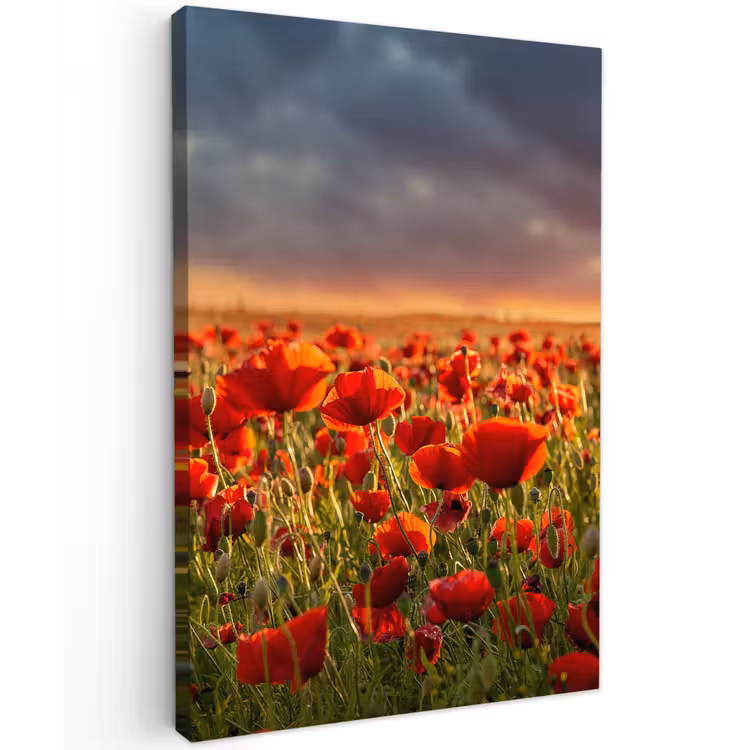 Klaprozenveld bij zonsondergang Tuinposter op houten frame 2 cm dik klein -3d