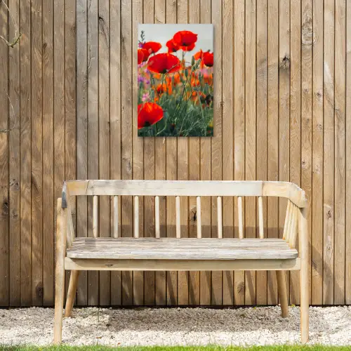 Klaproos - Bloemen - Rood - Paars - Weide Tuinposter op houten frame 2 cm dik klein -sfeer4