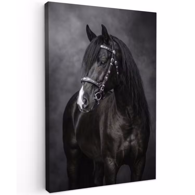 Portret - Paard - Zwart Tuinposter op houten frame 2 cm dik klein -3d