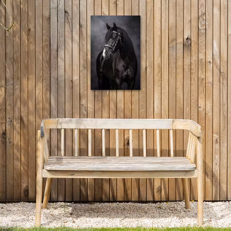 Portret - Paard - Zwart Tuinposter op houten frame 2 cm dik klein -sfeer4