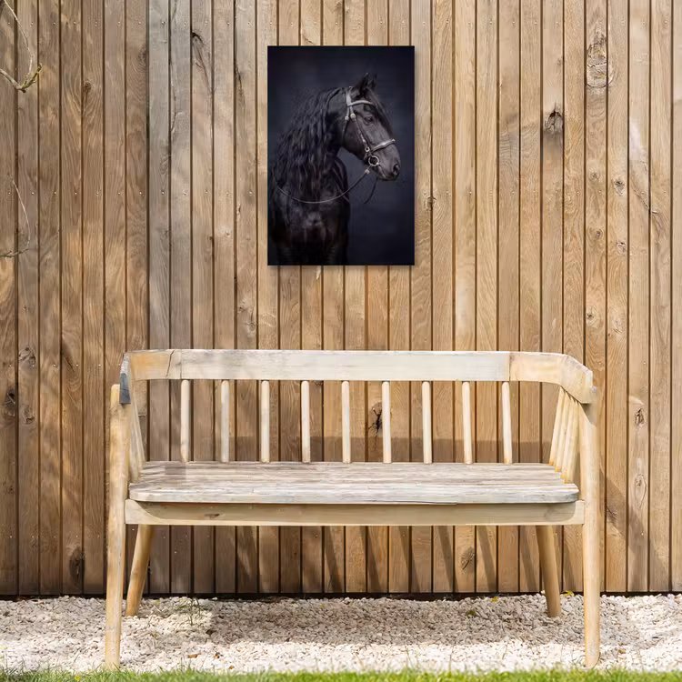 Portret - Paard - Donker Tuinposter op houten frame 2 cm dik klein -sfeer4