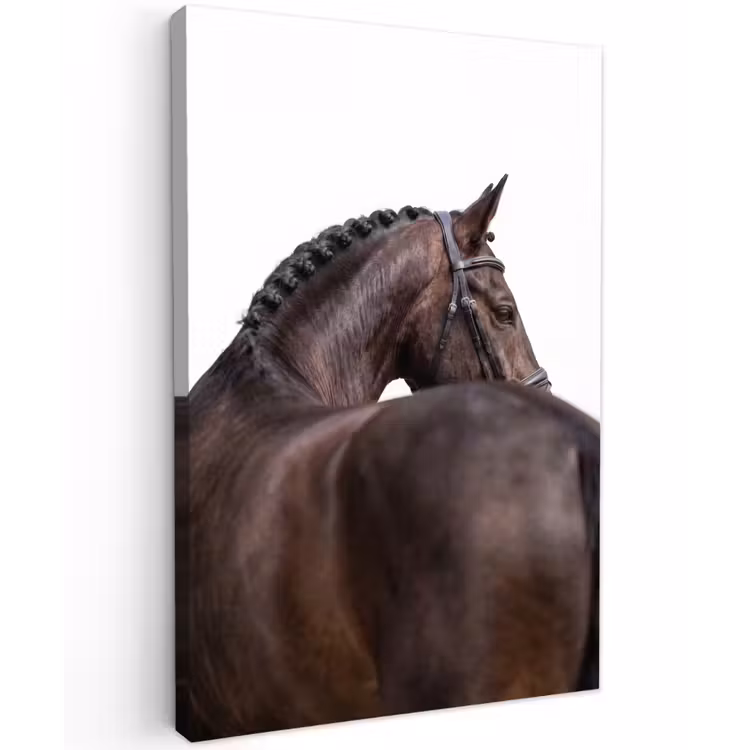 Portret - Paard - Elegant Tuinposter op houten frame 2 cm dik klein -3d