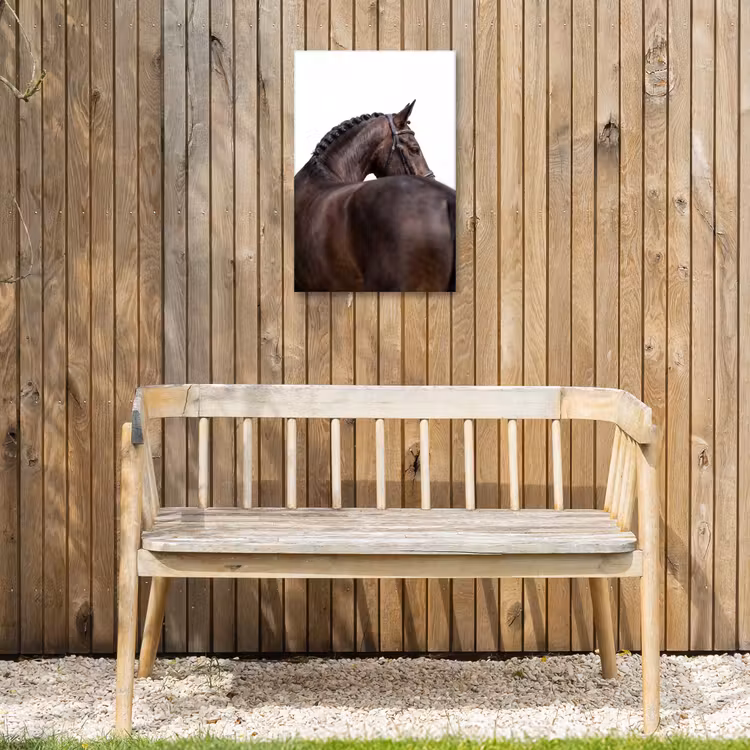 Portret - Paard - Elegant Tuinposter op houten frame 2 cm dik klein -sfeer4