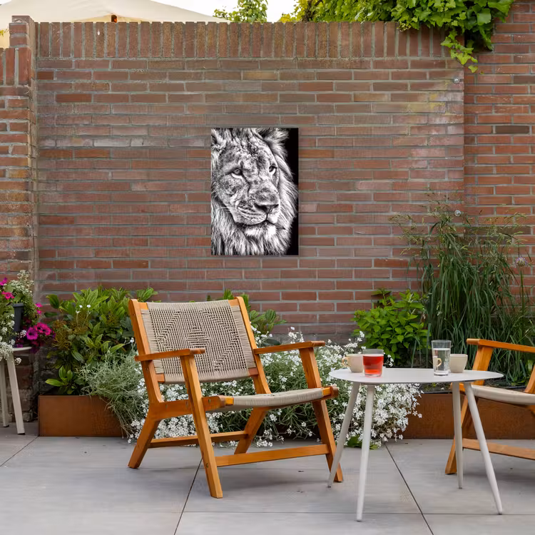 Portret - Leeuw - Zwart wit Tuinposter op houten frame 2 cm dik klein -sfeer3