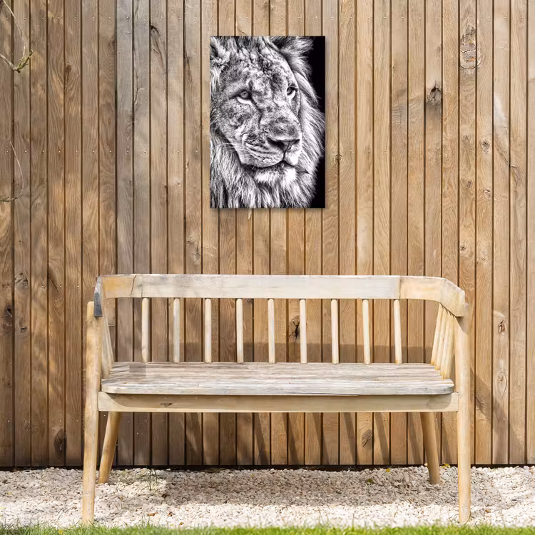 Portret - Leeuw - Zwart wit Tuinposter op houten frame 2 cm dik klein -sfeer4
