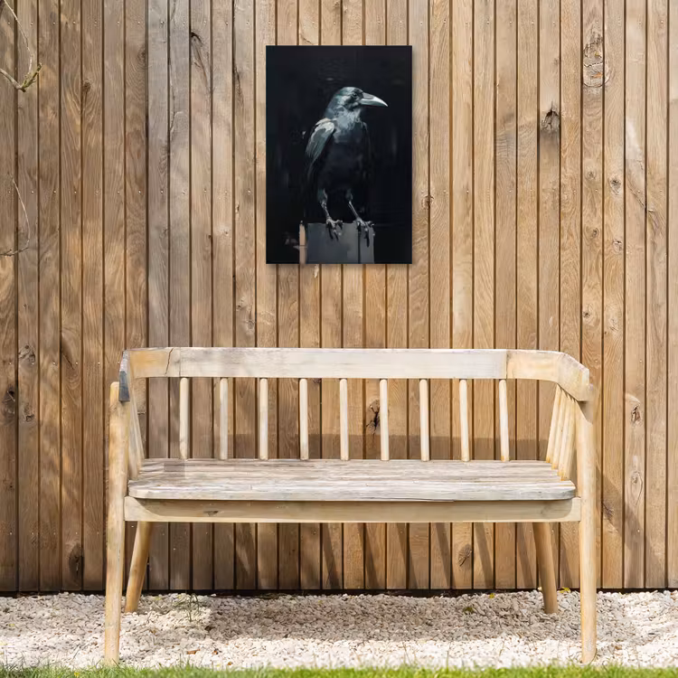 Raaf - Vogels - Zwart Tuinposter op houten frame 2 cm dik klein -sfeer4