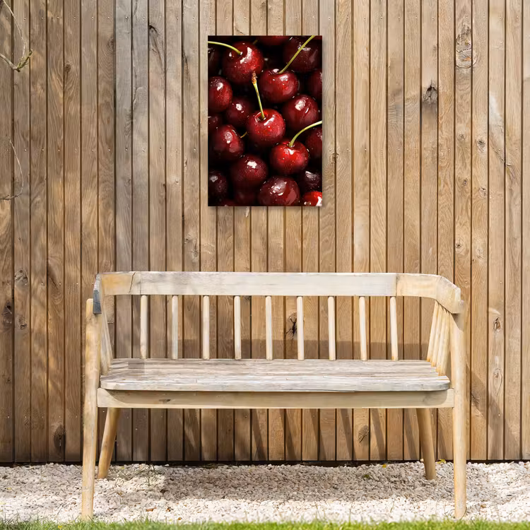 Rood - Fruit - Kersen Tuinposter op houten frame 2 cm dik klein -sfeer4