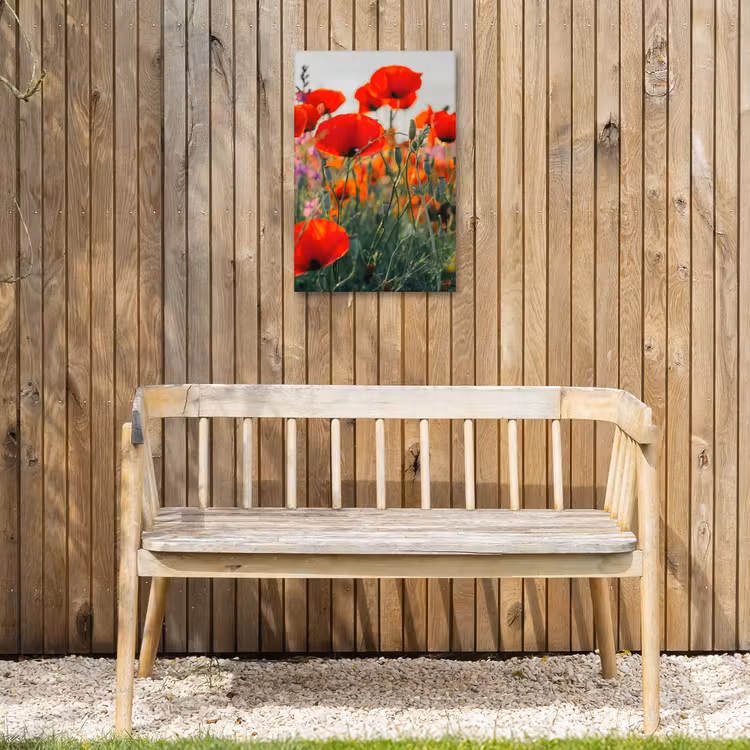 Rode klaprozen in de avondzon Tuinposter op houten frame 2 cm dik klein -sfeer4
