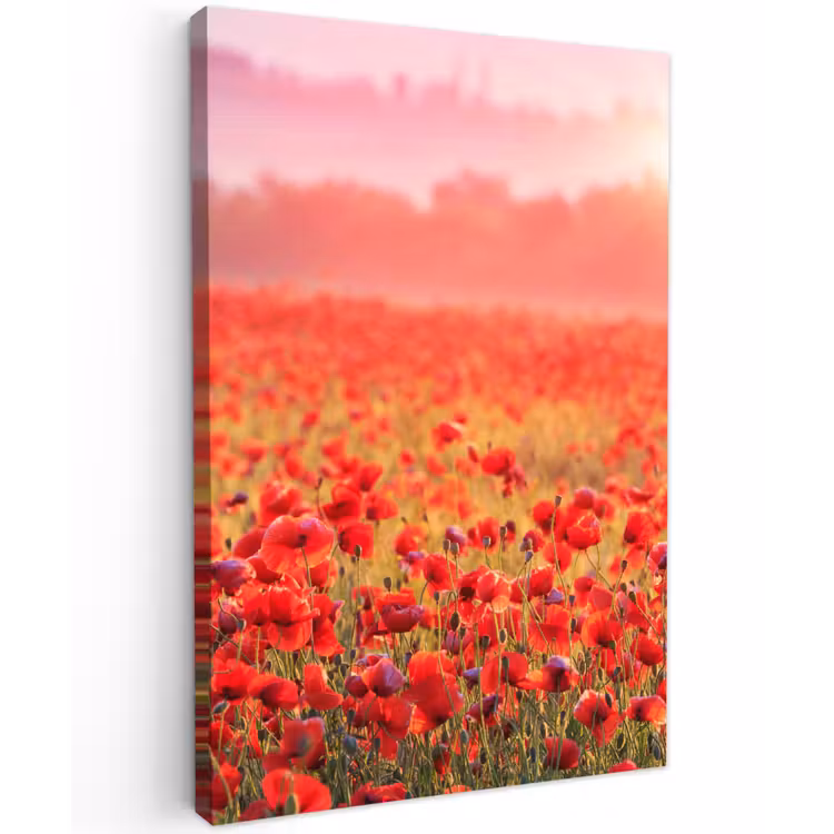 Rode klaprozen in de ochtendzon Tuinposter op houten frame 2 cm dik klein -3d