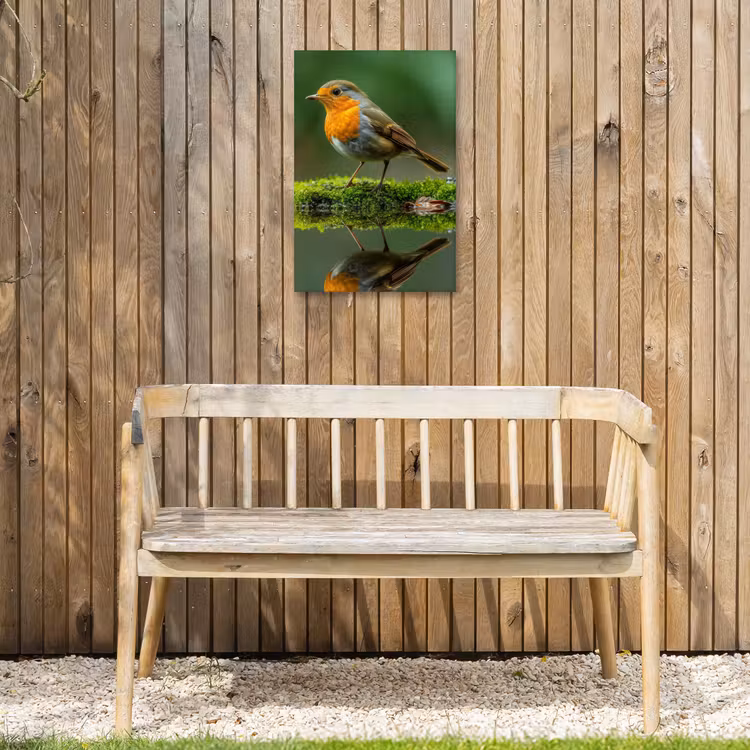 Roodborstje bij het Water Tuinposter op houten frame 2 cm dik klein -sfeer4