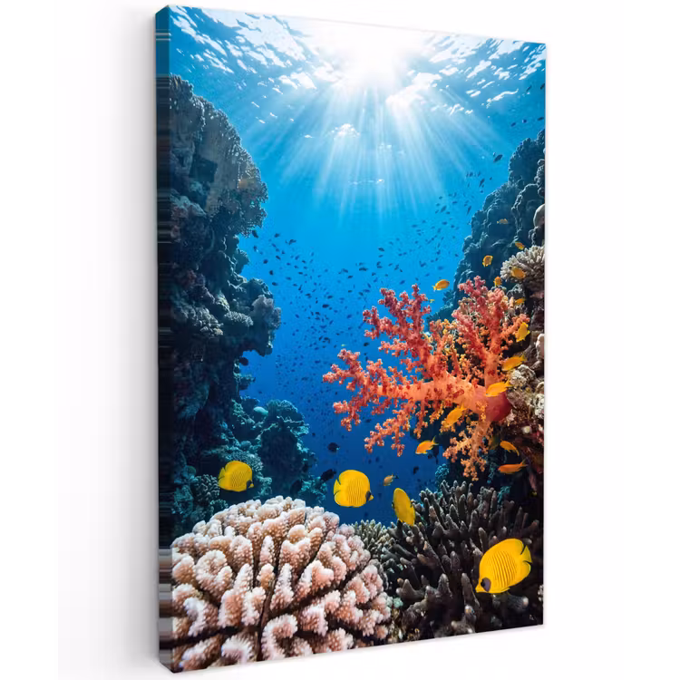Zee - Koraalrif - Natuur - Levendig - Blauw Tuinposter op houten frame 2 cm dik klein -3d