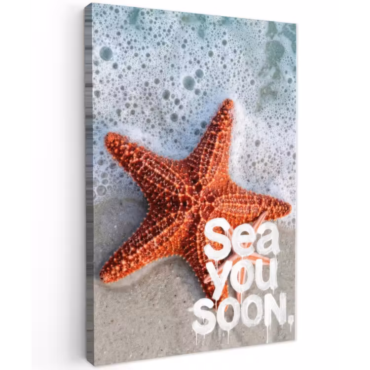 Sea you soon - Zeester - Zee Tuinposter op houten frame 2 cm dik klein -3d