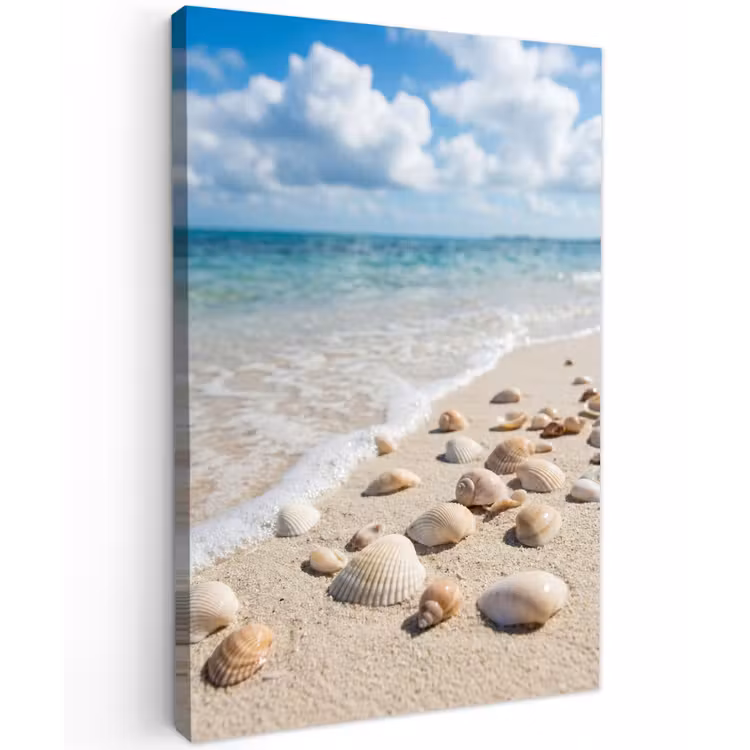 Schelpen - Strand - Natuur - Beige Tuinposter op houten frame 2 cm dik klein -3d