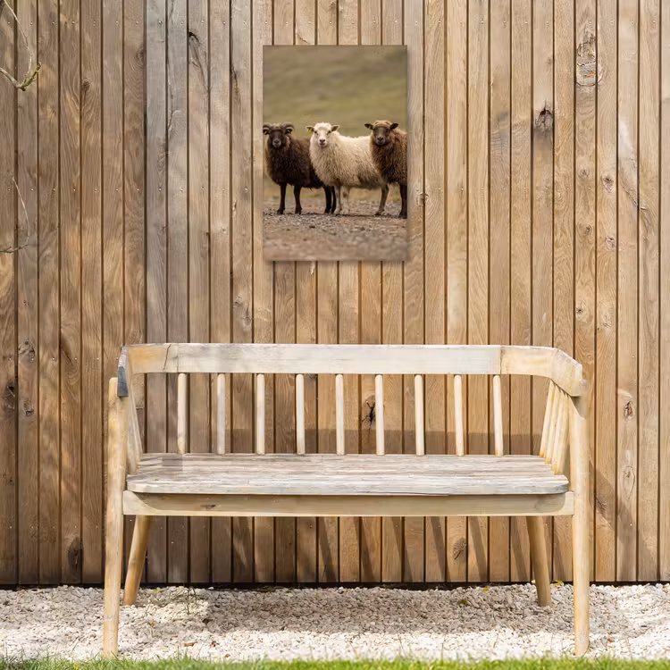 Schapen - Bruin - Wit - Grindpad Tuinposter op houten frame 2 cm dik klein -sfeer4