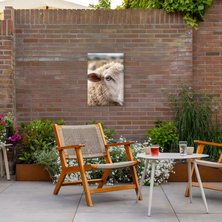 Schaap - Oog - Wit Tuinposter op houten frame 2 cm dik klein -sfeer3