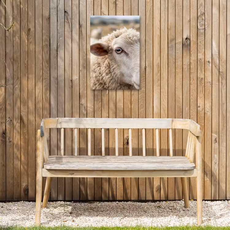 Schaap - Oog - Wit Tuinposter op houten frame 2 cm dik klein -sfeer4