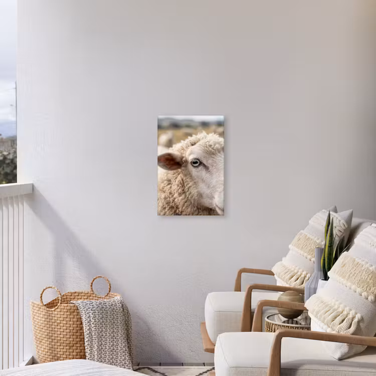 Schaap - Oog - Wit Tuinposter op houten frame 2 cm dik klein -sfeer1
