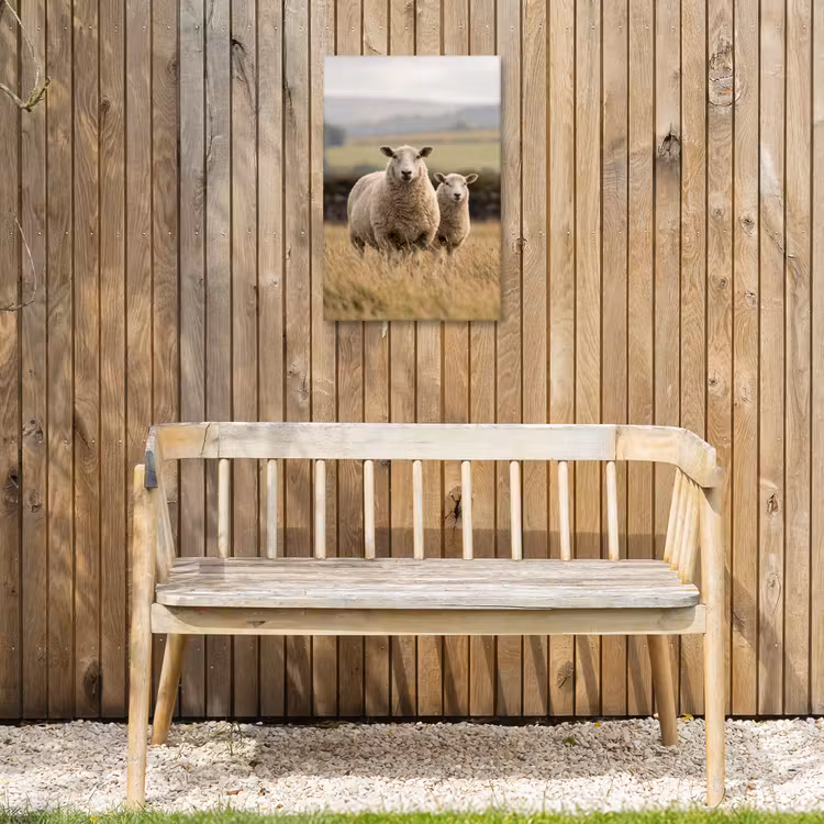 Schapen - Weidenlandschap - Heuvels Tuinposter op houten frame 2 cm dik klein -sfeer4